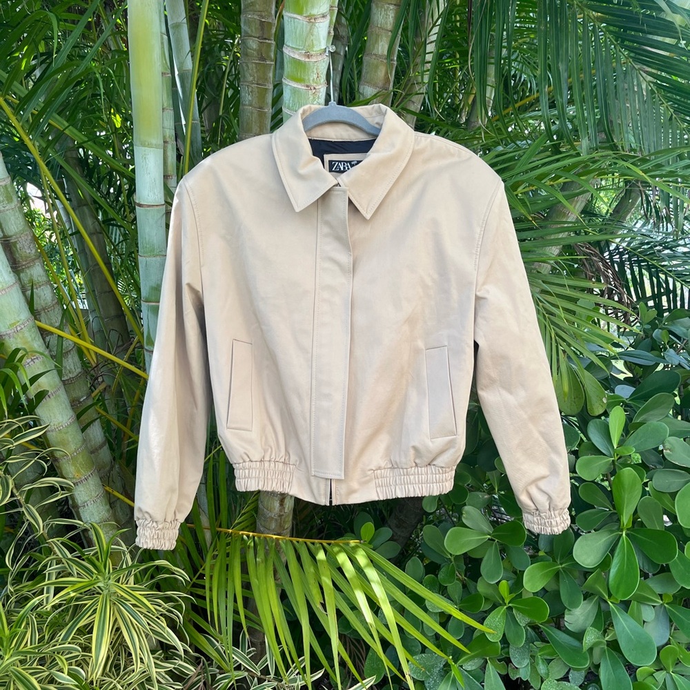 Zara x Everlast Bomber Jacket - Picture 12 of 17